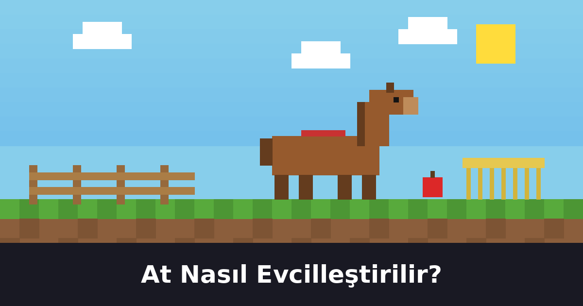 At Nasıl Evcilleştirilir? Adım Adım Rehber