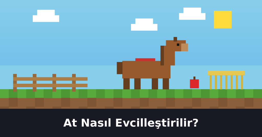 At Nasıl Evcilleştirilir? Adım Adım&nbsp;Rehber